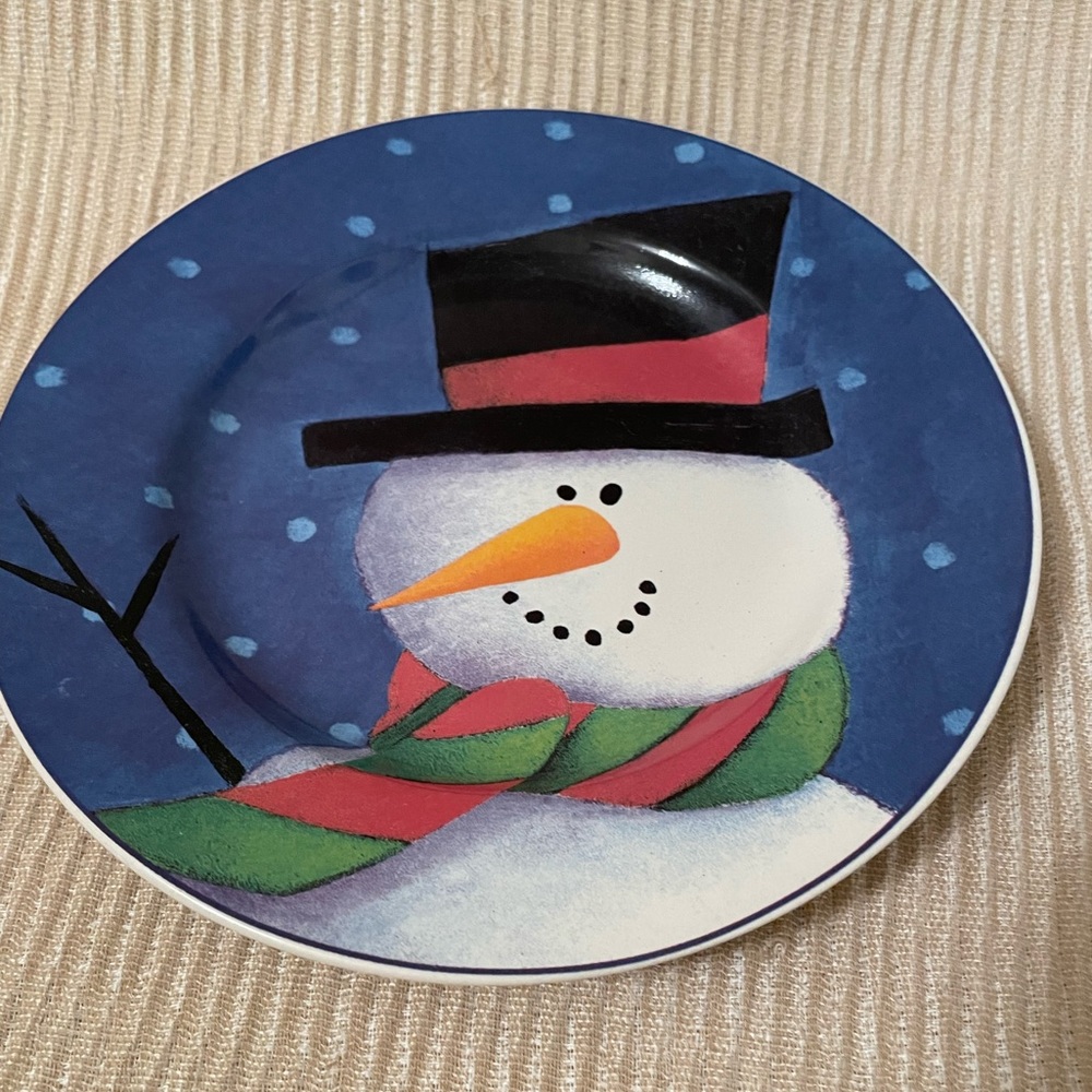 Snowy Day by SAKURA Salad Plate